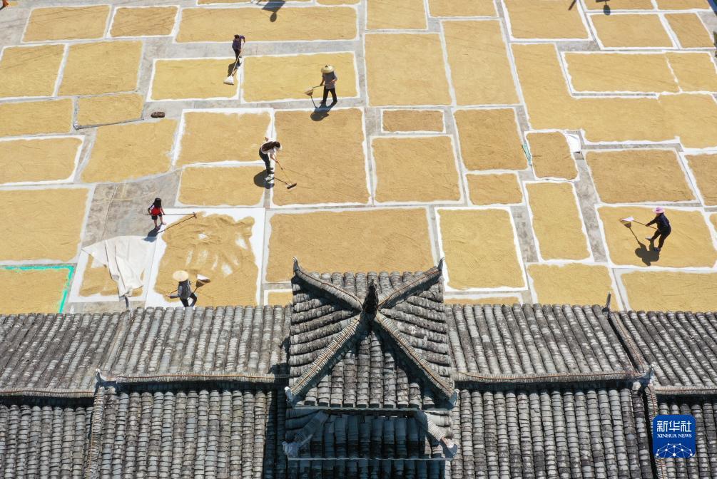 瑞博登录路线